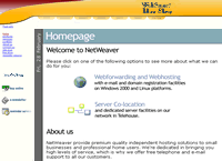 Website Feedback Form