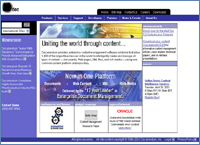 Custom design website